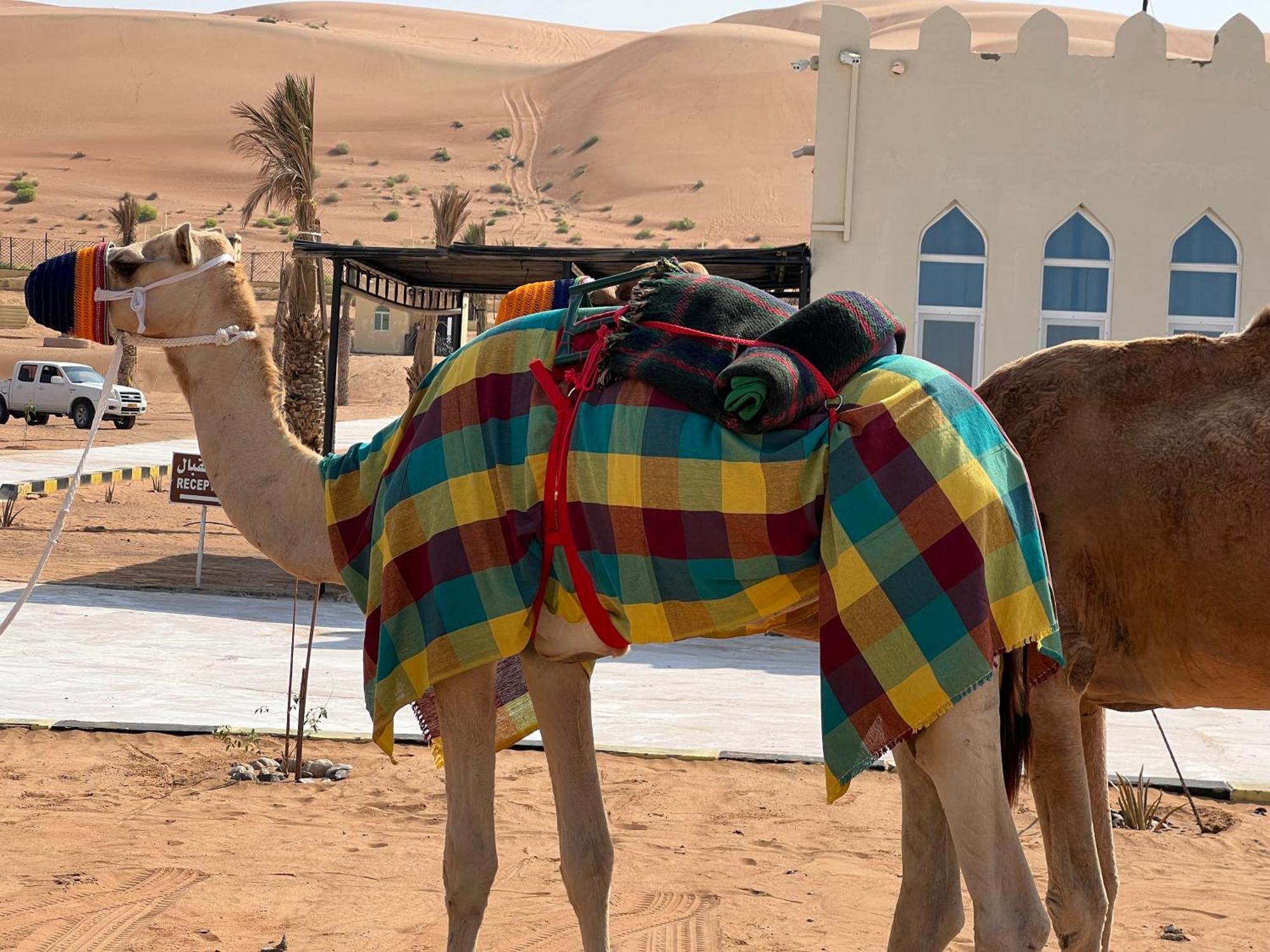 Hotel Al Salam Desert Camp Badīyah Zewnętrze zdjęcie